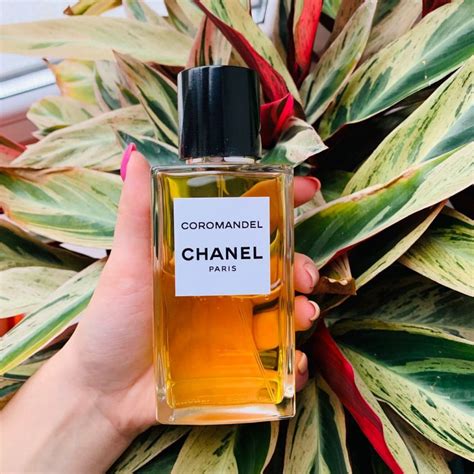 chanel coromandel золотое яблоко|coromandel eau de chanel.